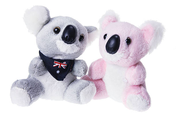 morbido peluche koala - koala stuffed animal australia souvenir foto e immagini stock