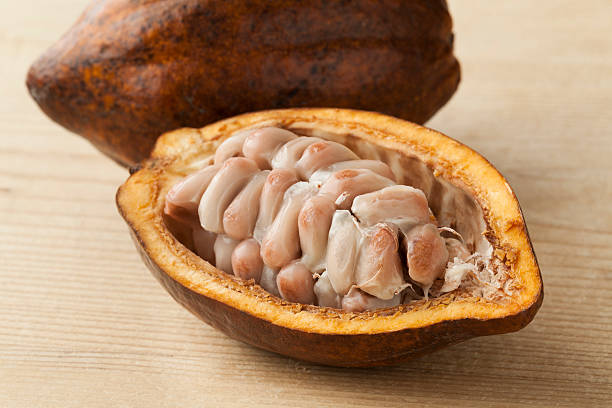istock Cacao fruit and raw cocoa beans in the pod 503564010