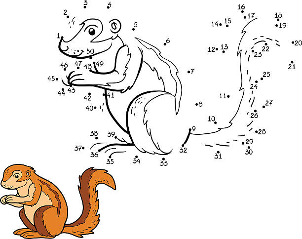 Numbers game, game for children (ground squirrel, xerus) Numbers game, education game for children (ground squirrel, xerus) african ground squirrel stock illustrations