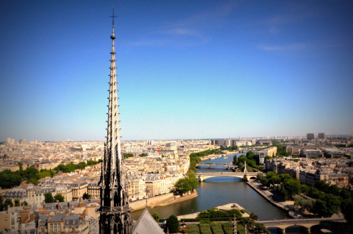View of Paris from Notre Dame de Paris