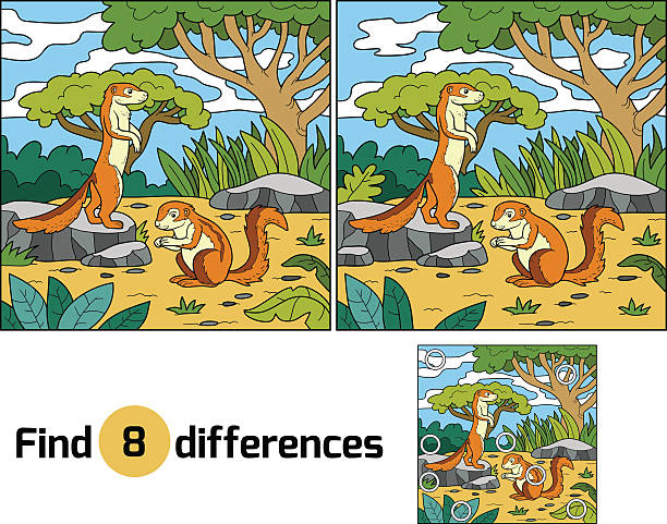 Find differences, game for children (xerus and background) Find differences, education game for children (xerus and background) african ground squirrel stock illustrations