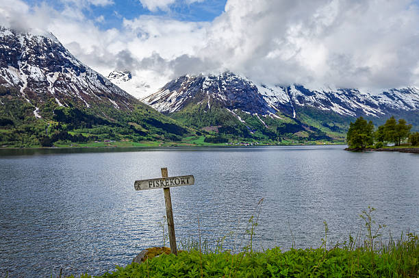 istock norwegian fjord 503565294