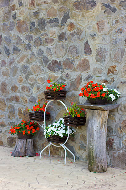 istock Stamped Concrete, flowers and brick wall 503565515