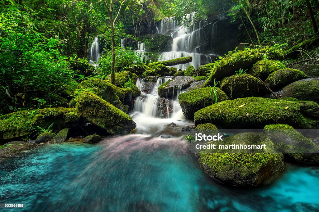 beautiful waterfall in green forest in jungle beautiful waterfall in green forest in jungle at phu tub berk mountain , phetchabun , Thailand Waterfall Stock Photo