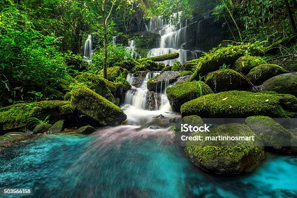 Beautiful Waterfall In Green Forest In Jungle Stock Photo - Download Image Now - Waterfall, Landscape - Scenery, Nature