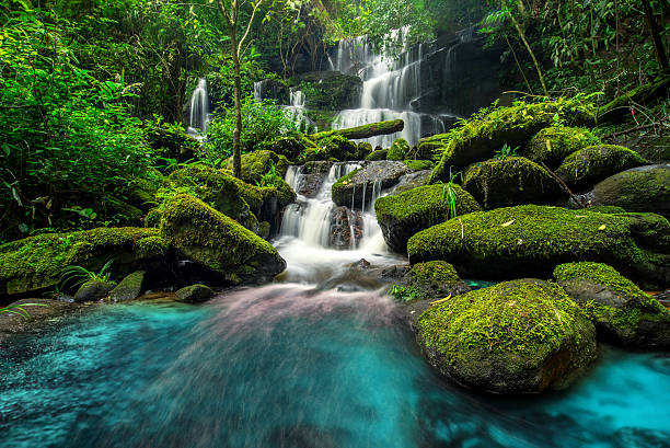 linda cascata em verde floresta na selva - flowing water river waterfall water imagens e fotografias de stock