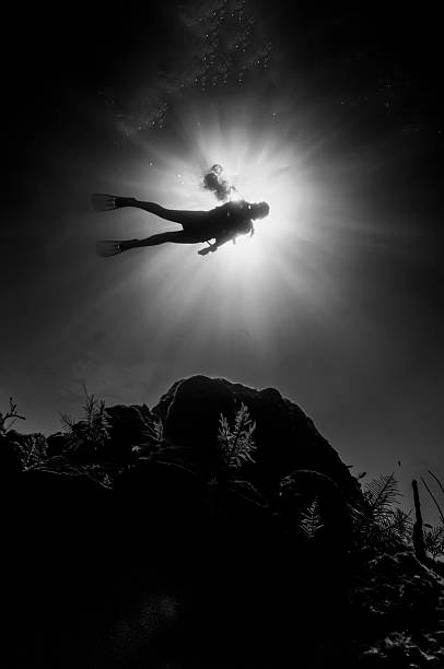 Scuba Diver in Black and White