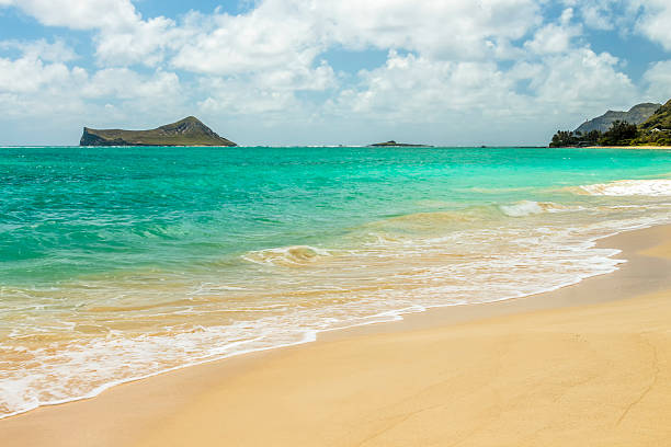 istock Waimanalo Beach 503567093