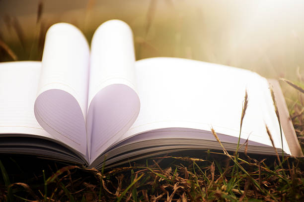 istock heart shape from paper book on grass field background 503567506