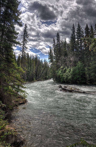 istock Canada Nature Collection - Alberta - Banff 503567874
