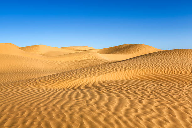 great eastern sabbia di mare nel sahara della tunisia - great sand sea foto e immagini stock