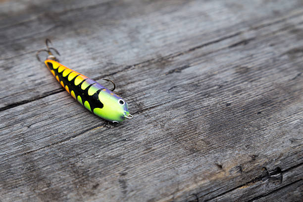 Colorful minnow on a wooden bench stock photo