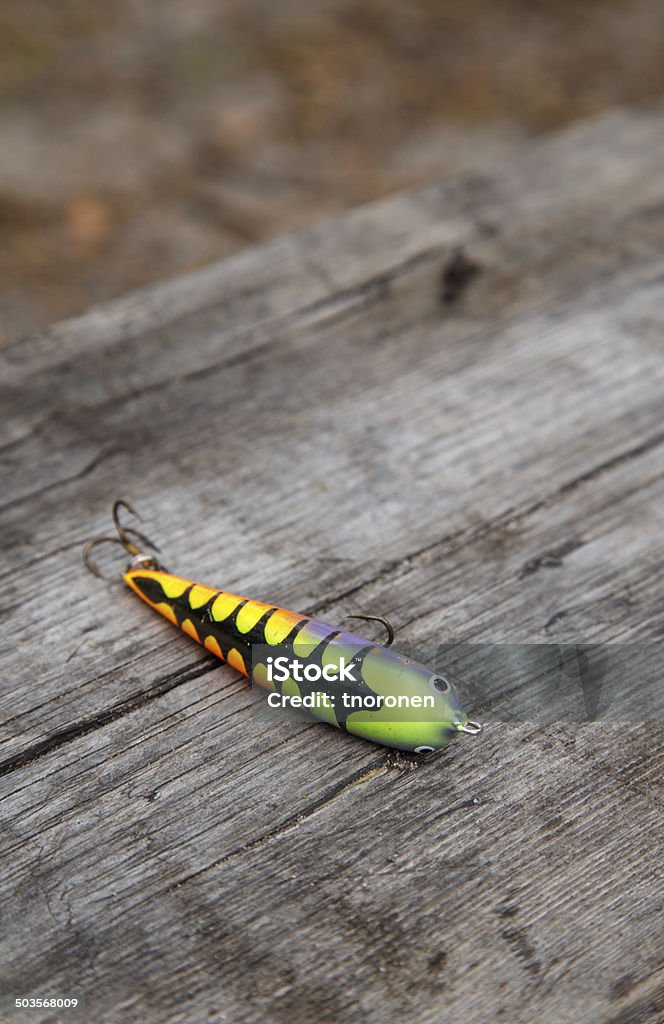 Colorido gobio en un banco de madera - Foto de stock de Anzuelo de pesca libre de derechos