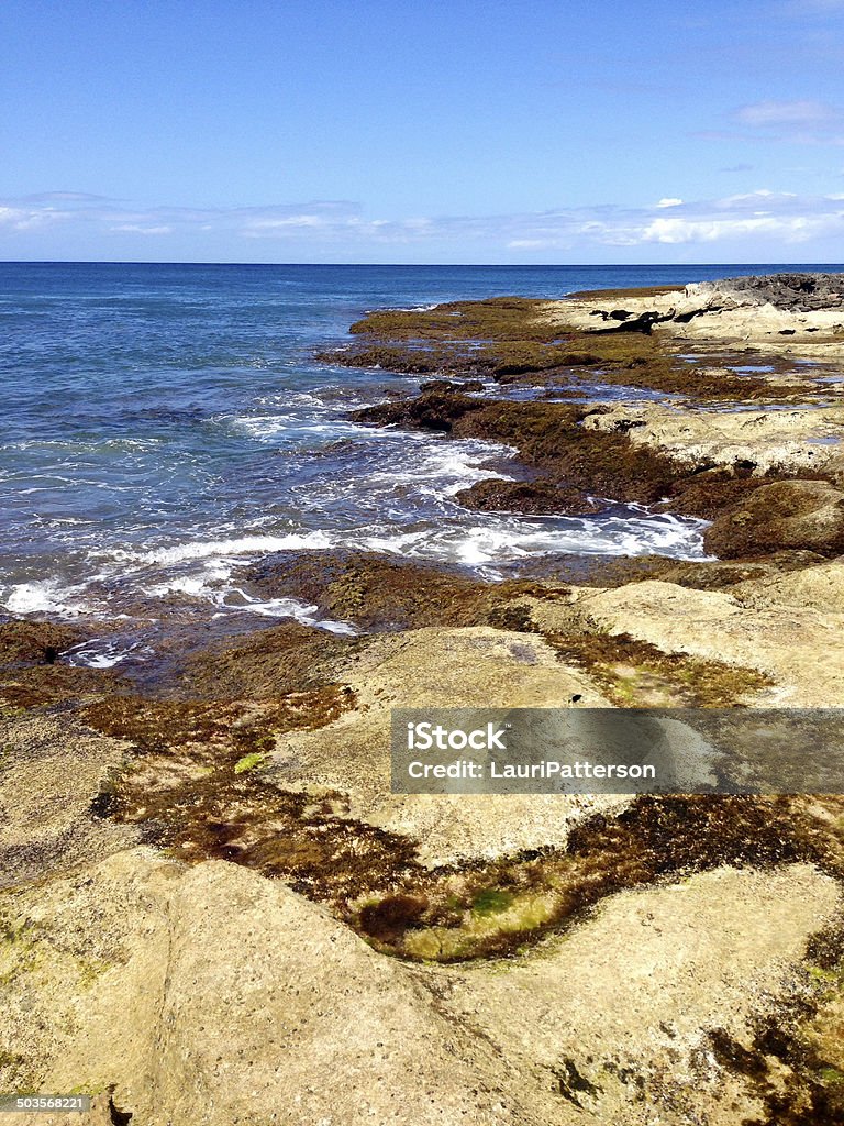 Rochas de Lava para o mar - Foto de stock de Amarelo royalty-free