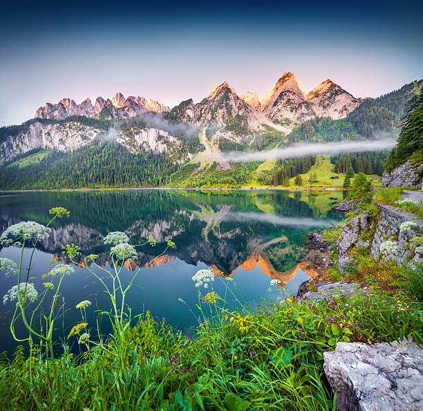 istock Misty summer morning on the Vorderer Gosausee lake 503568252