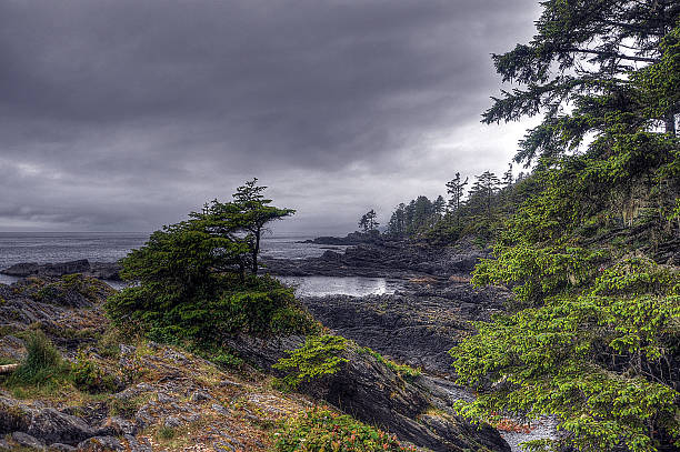 istock Canada Nature Collection - British Columbia - Vancouver Island 503568562