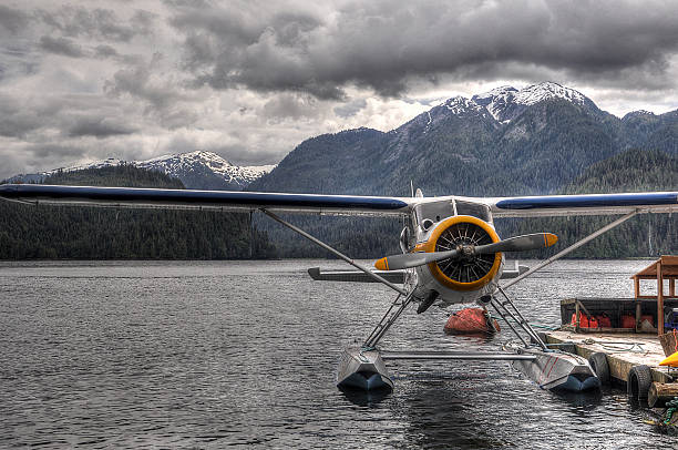 istock Water Plane - Khutzeymateen Grizzly Bear Sanctuary 503568872