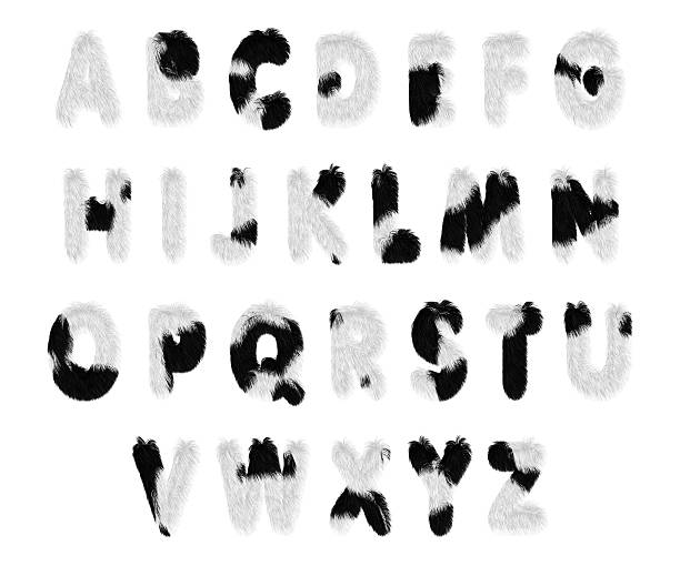 preto e branco de pele alfabeto, isolado em fundo branco - fur type imagens e fotografias de stock