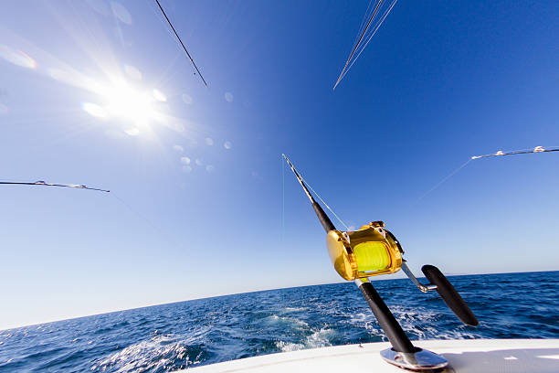 istock Ocean Fishing Reel 503570841