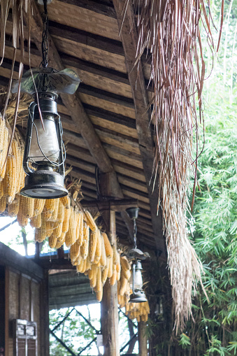 corn hanging under the roof peasant house