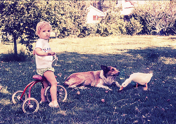 istock Dog and Duck with a Little Child 503580000