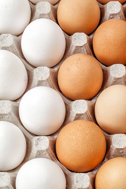 istock white and brown eggs lying in lattice in order 503580214