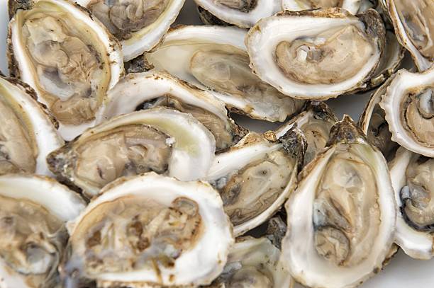 istock man holding oysters in a plate shucked 503580442