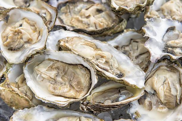 istock man holding oysters in a plate shucked 503580498
