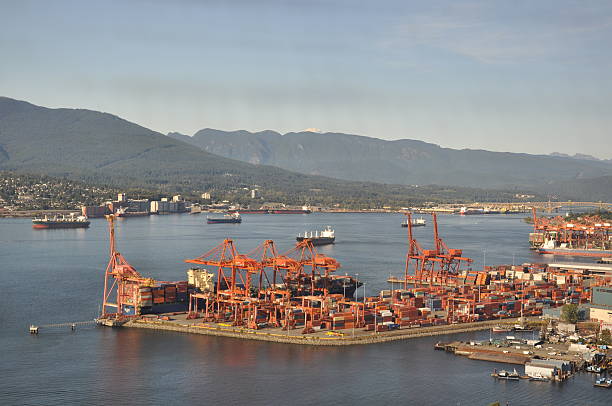 istock Canada Nature Collection - British Columbia - Vancouver 503580886
