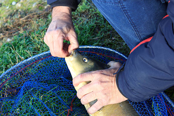 unhook um peixe - foto de acervo