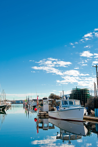 Lobster boats in a sunny harbor