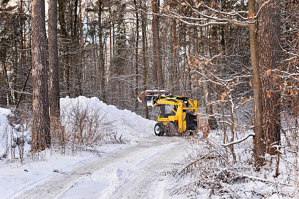 istock The tractor clears snow from the road 503583676