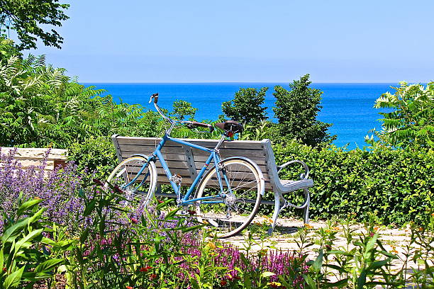 bicicleta, banco de jardim e flores com vista para o lago - lake michigan sun sunlight nature imagens e fotografias de stock