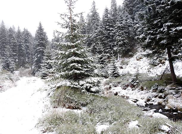 istock Winter in the Mountains 503584390