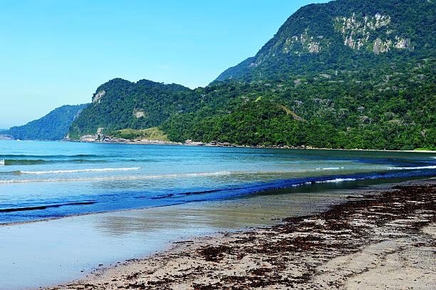 istock Guaeca beach in the morning. 503584714