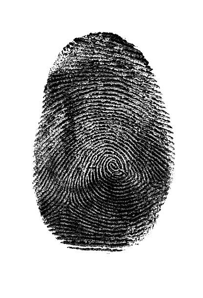 istock Fingerprint in Black and White. 503585494
