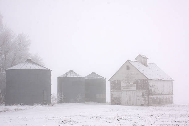 neve cestini di cereali, grano culla nell'iowa rurale - corn snow field winter foto e immagini stock