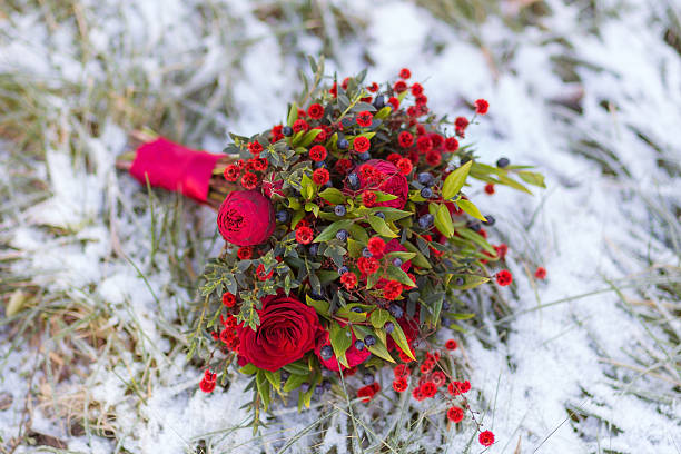 Bridal Bouquet On The Snow Wedding bouquet of red roses and green twigs on the snow bride holding bouquet stock pictures, royalty-free photos & images