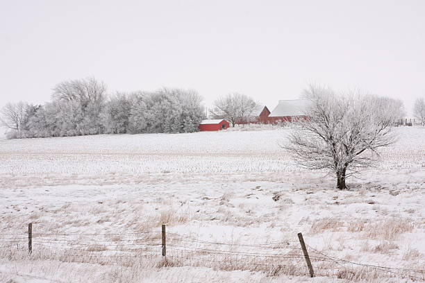 parete e iowa farmstead frosty - corn snow field winter foto e immagini stock