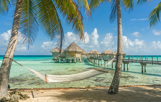 rede numa praia em tikehau, tahiti - honeymoon imagens e fotografias de stock