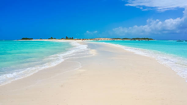 istock Idyllic sand bank in a Caribbean beach 503591266