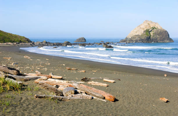 istock Redwood National Park 503592508