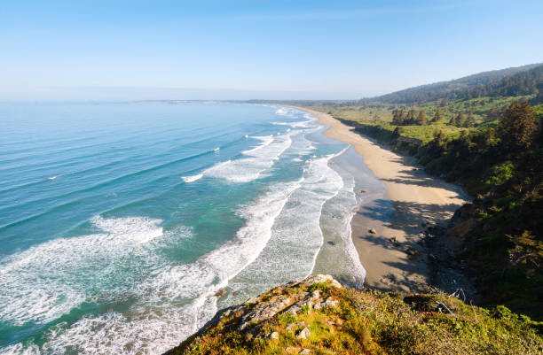 istock Redwood National Park 503592702
