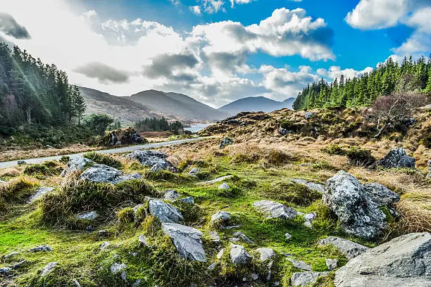 A road winds through the idyllic Irish countryside
