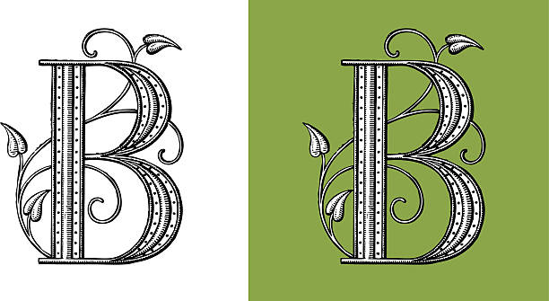 buchstabe b, typo, alphabet, enluminure, ornement, manuscrite, rétro, blumenmuster - medieval illuminated letter stock-grafiken, -clipart, -cartoons und -symbole