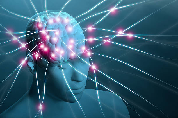 istock Human head with visible brain and neural nerve connections 503603809