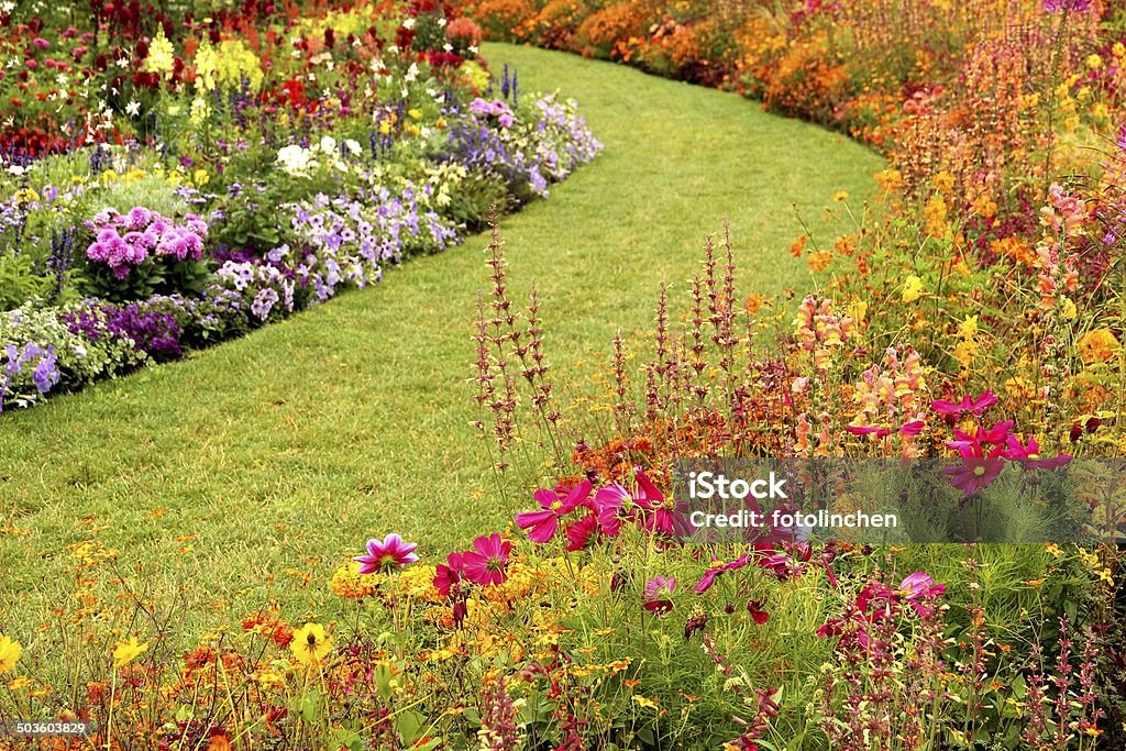 Sommer flower garden - Lizenzfrei Blume Stock-Foto