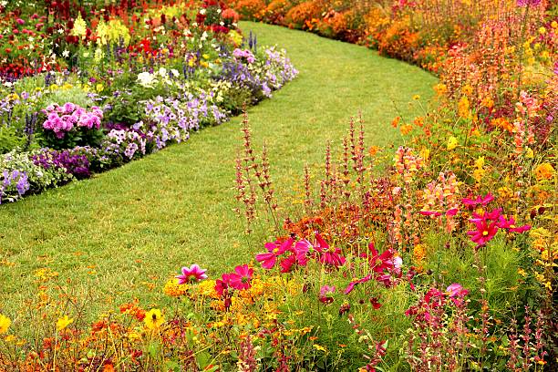 istock Summer flower garden 503603829