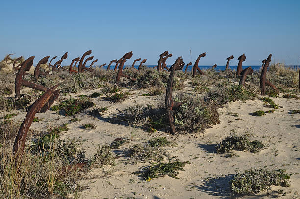 istock Anchor cemetery at Barril Beach 503610816