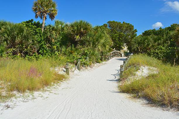 istock Siesta Beach, Sarasota Florida 503611012